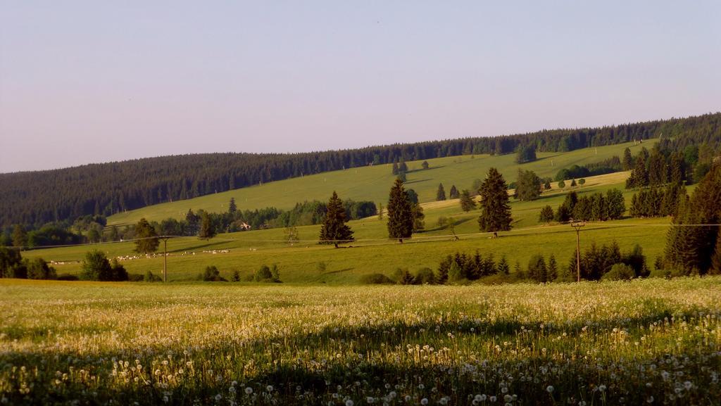 Apartamento U Votápků Nove Hute Exterior foto